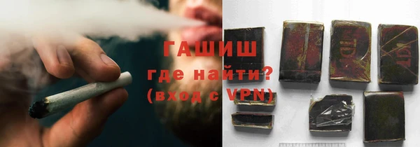 гашик Алексин