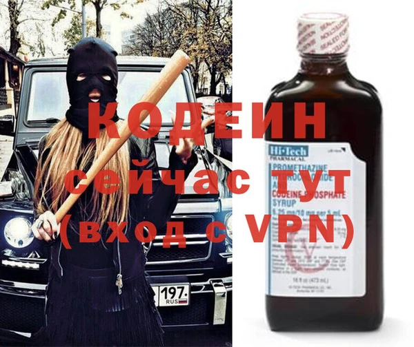 гашик Алексин