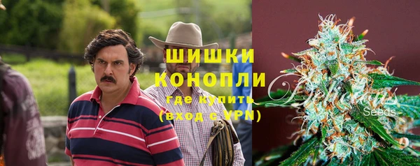 гашик Алексин