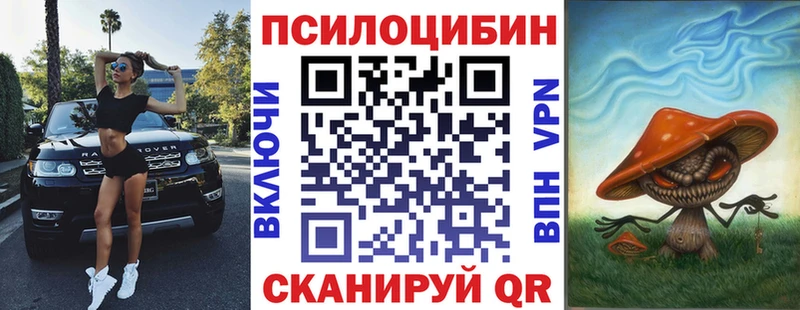 Галлюциногенные грибы мицелий  KRAKEN tor  Курганинск 